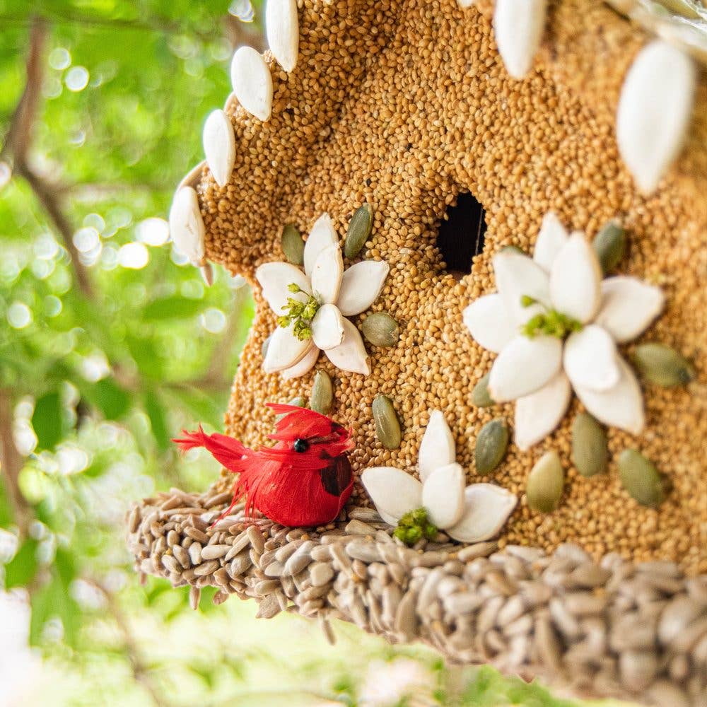 Mr Bird - Poinsettia House