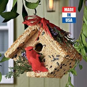 Mr Bird - Wren Casita