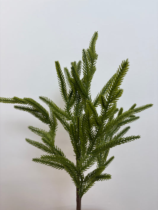 18 inch Norfolk pine pick