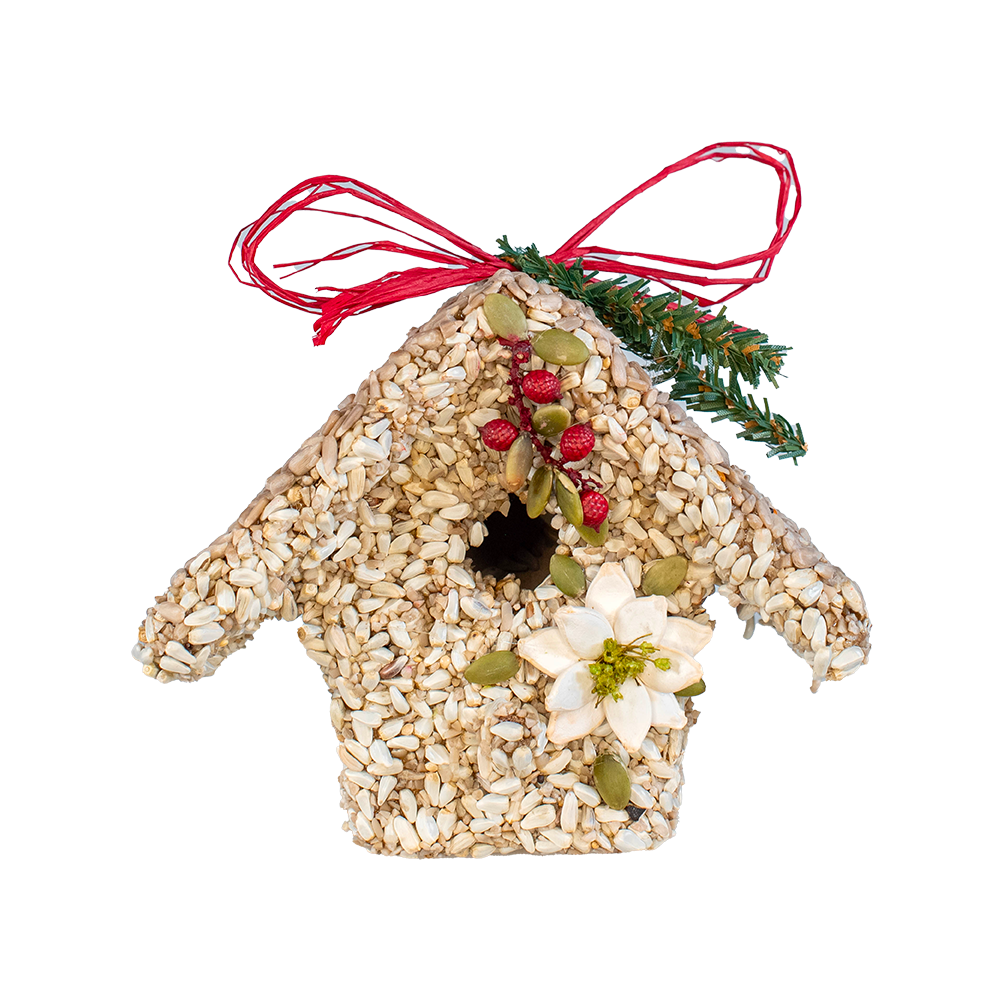 Mr Bird - Poinsettia Birdie Cottages