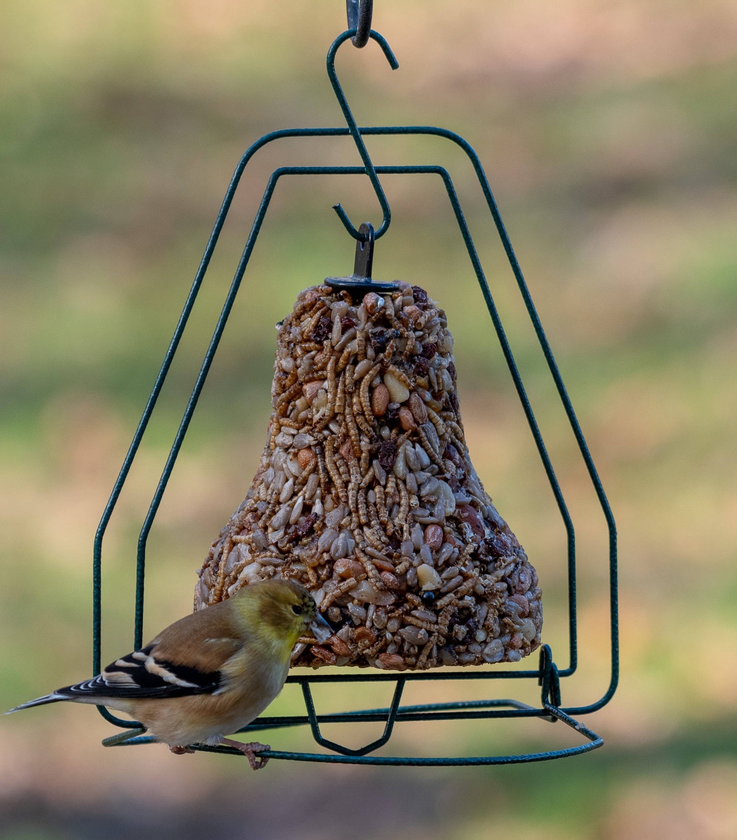 Mr Bird - Seed Bell Hanger
