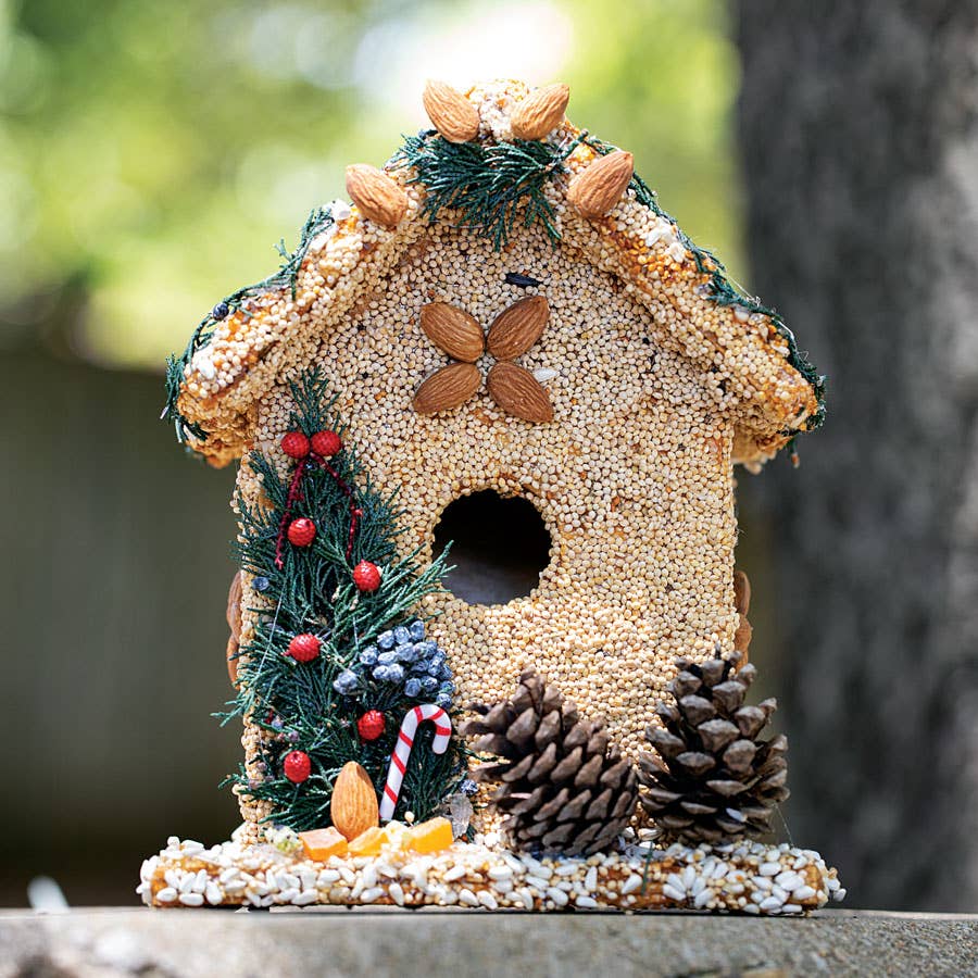 Mr Bird - Juniper B&B
