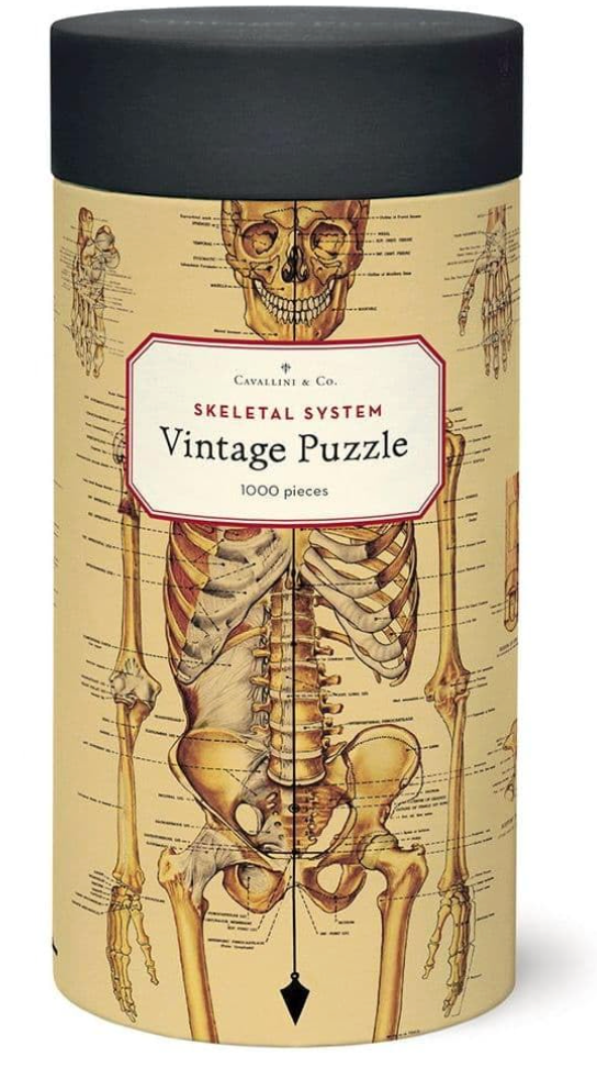 Skeletal System Vintage Puzzle