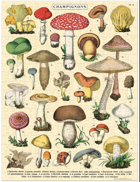 240 Piece Mini Puzzle mushrooms