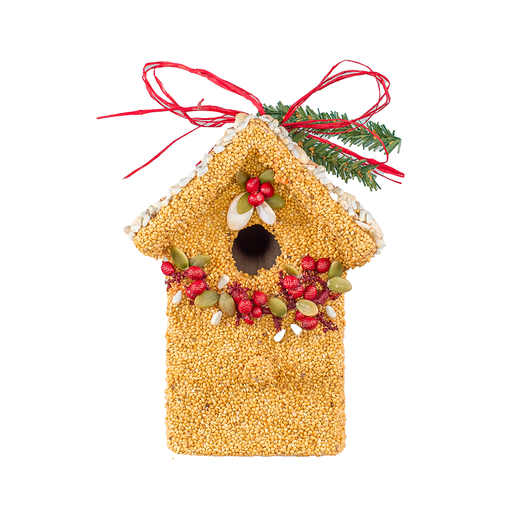 Mr Bird - Poinsettia Birdie Cottages