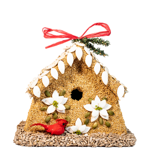 Mr Bird - Poinsettia House