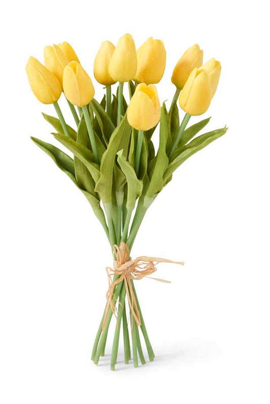 Yellow Tulip Bundle - 12 Blooms