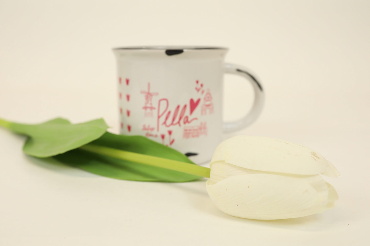 Single Stem Tulip - White