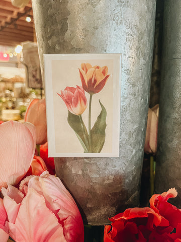 Tulips - Vintage Image, Postcard