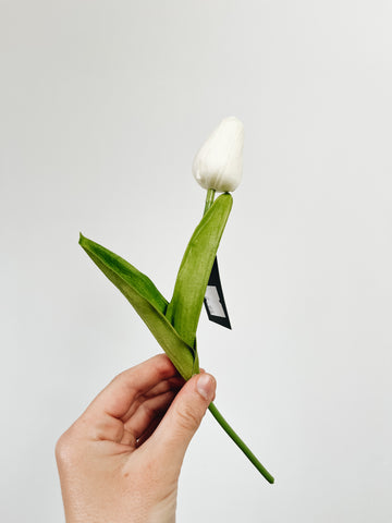 Mini Single Stem Tulip - Light Blue