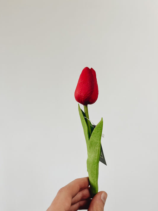 Mini Single Stem Tulip - Red