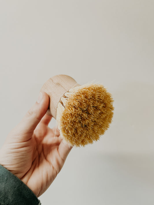 Beechwood Brush