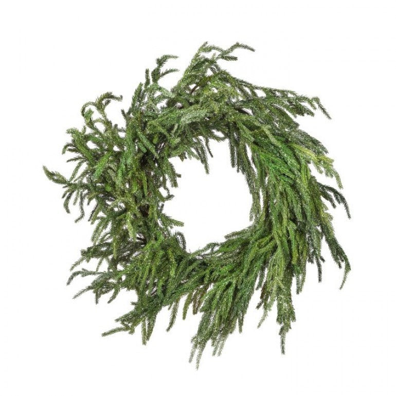 24" ICED GARDEN NORFOLK PINE WREATH