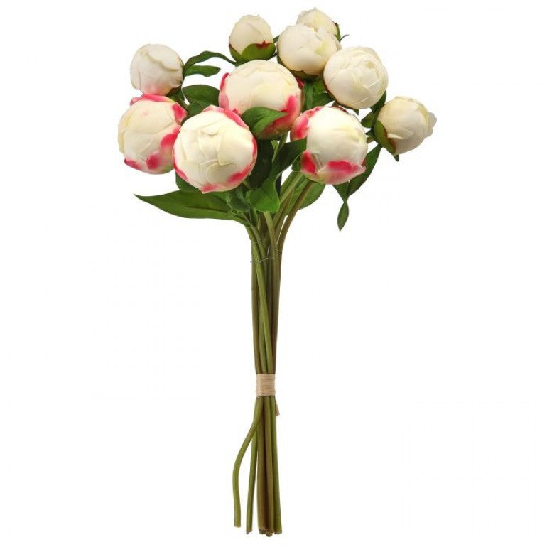 Cream JUST CUT PEONY BUD BUNDLE/10 16"
