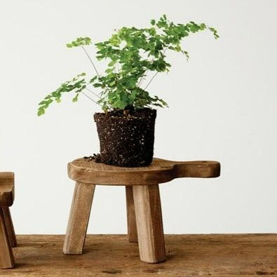 Found Wood Riser - Round