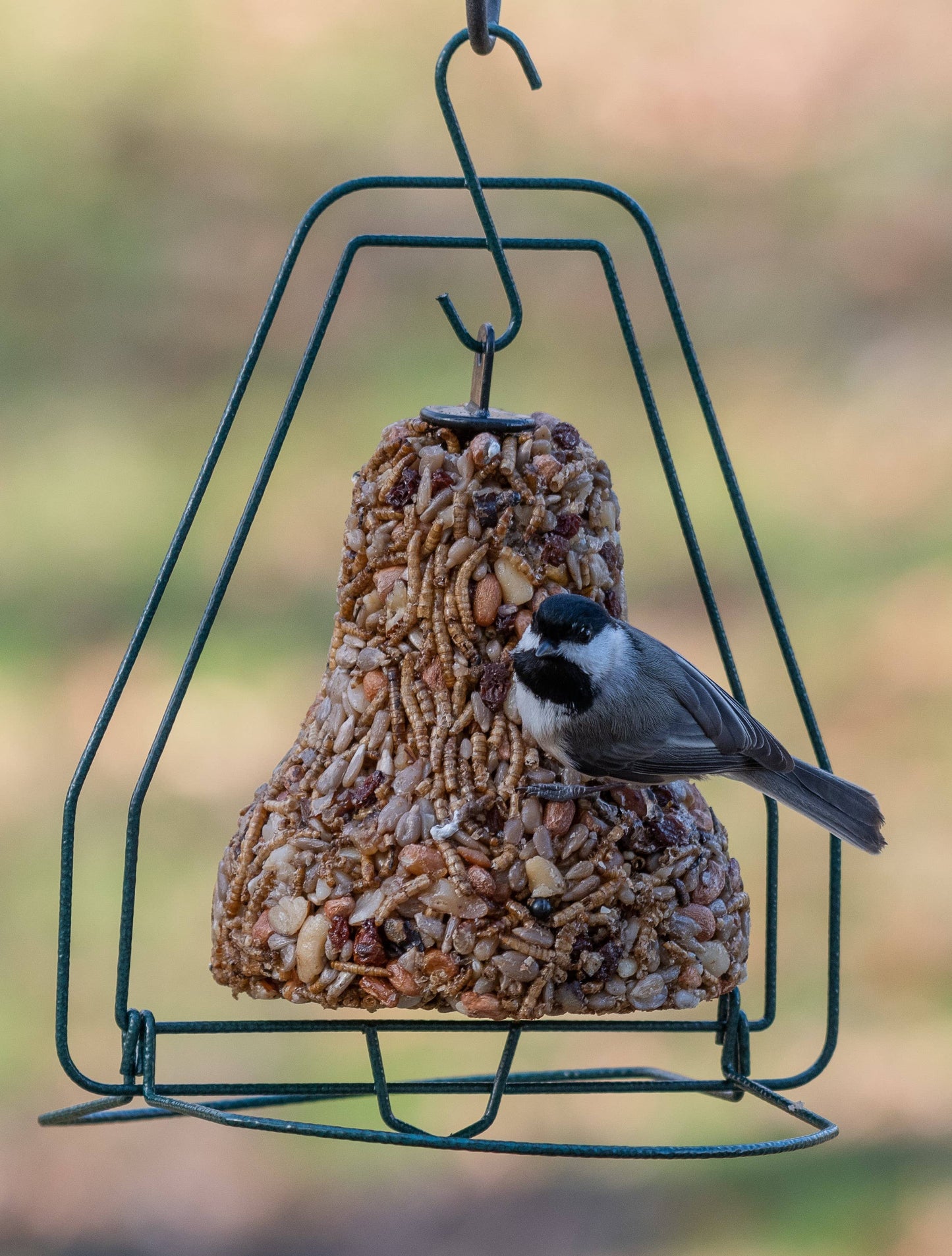 Mr Bird - Seed Bell Hanger