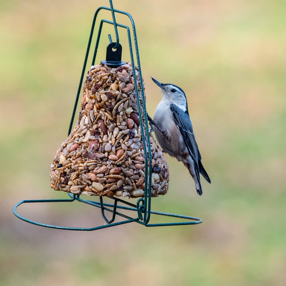 Mr Bird - Seed Bell Hanger