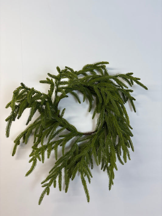 Norfolk Pine 16 inch table wreath