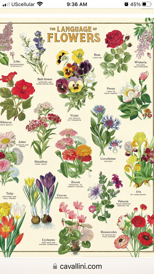 Language of flowers Poster