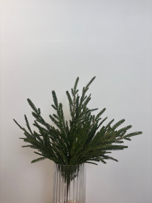 20 inch Cypress spray