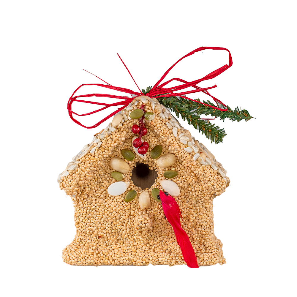 Mr Bird - Poinsettia Birdie Cottages