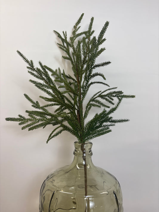 36 inch Cypress spray