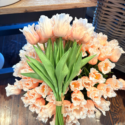 Light Peach Real Touch Parrot Tulip Bundle