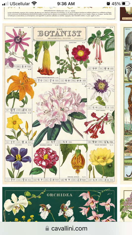 The botanist Poster