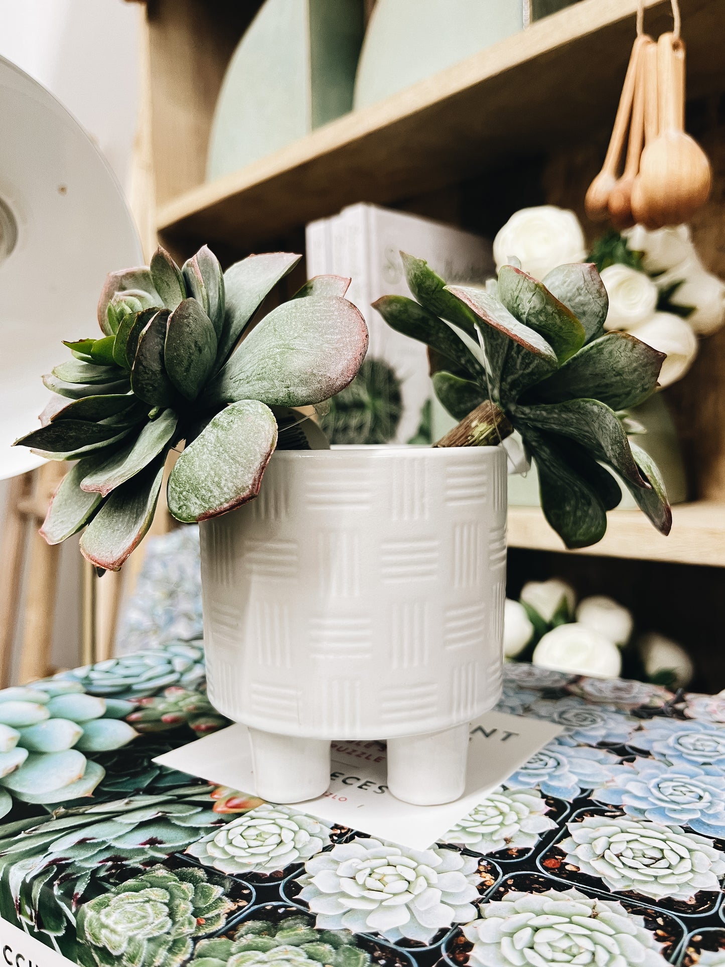 White Footed Planter - Mini