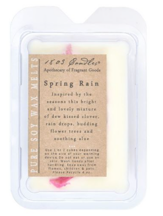 Spring rain - Melt