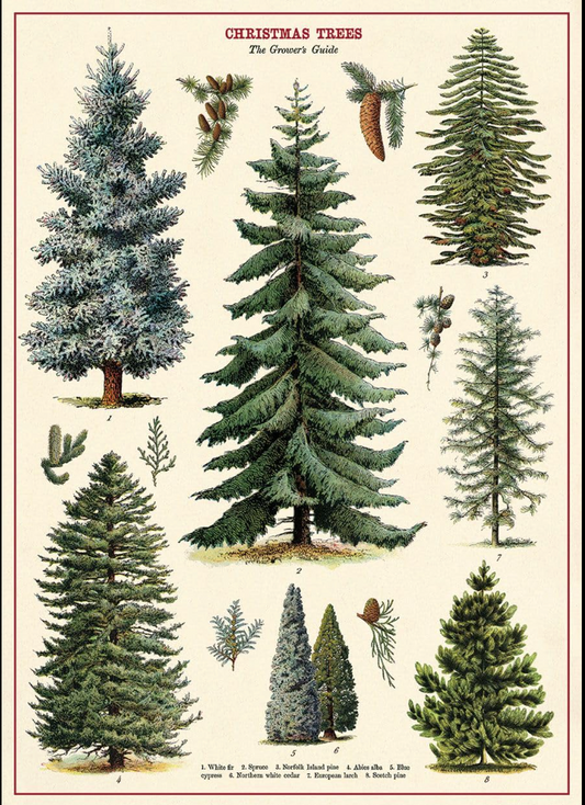 Christmas trees poster