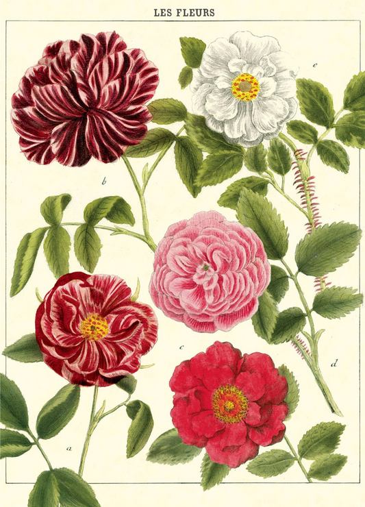 Les Fleurs vintage poster