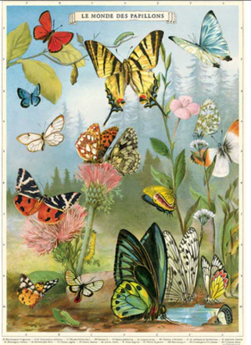Le Monde des Papillons Poster