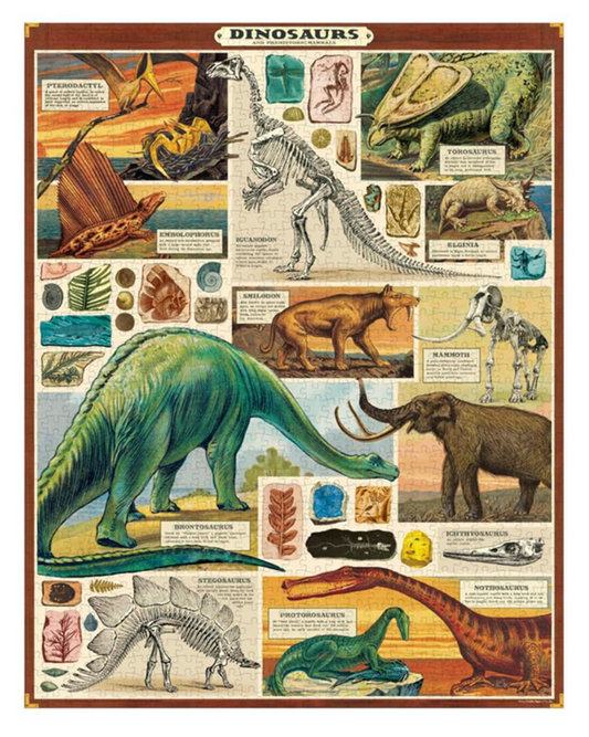 Puzzle - dinosaurs