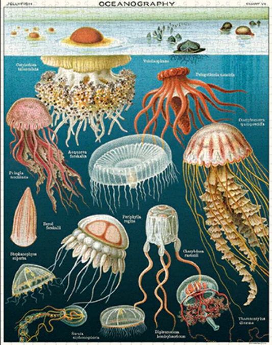 Jelly fish puzzle