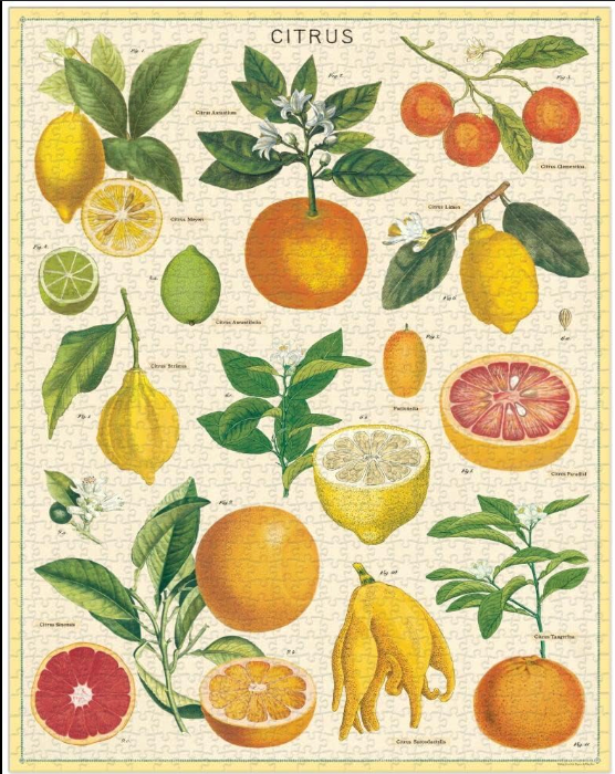 Vintage Citrus Puzzle