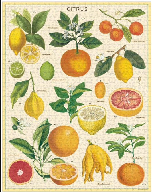 Vintage Citrus Puzzle
