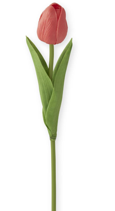 Mini Single Stem Tulip - Coral