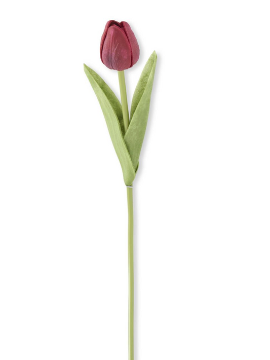 Dark red Mini Tulip