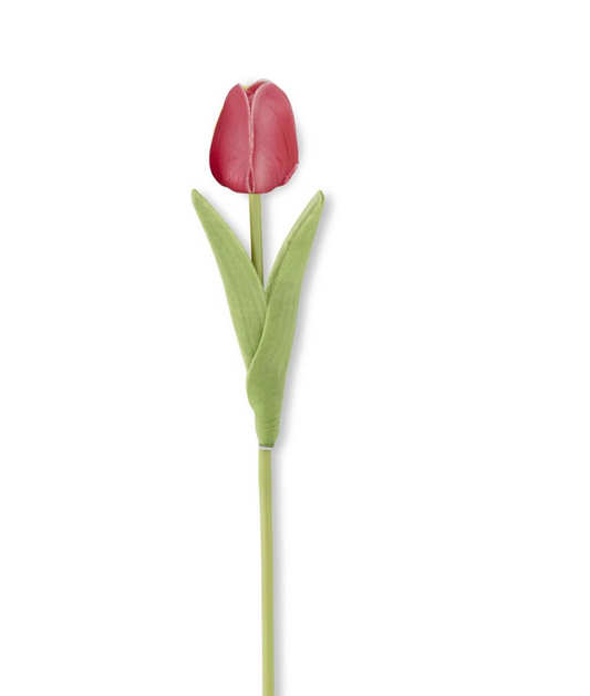 Mini Single Stem Tulip - rose