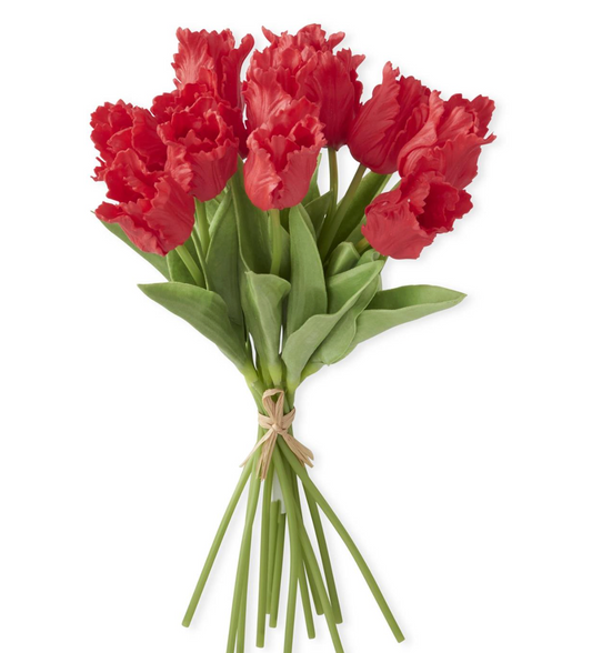Red Real touch parrot tulip bundle 12 stems