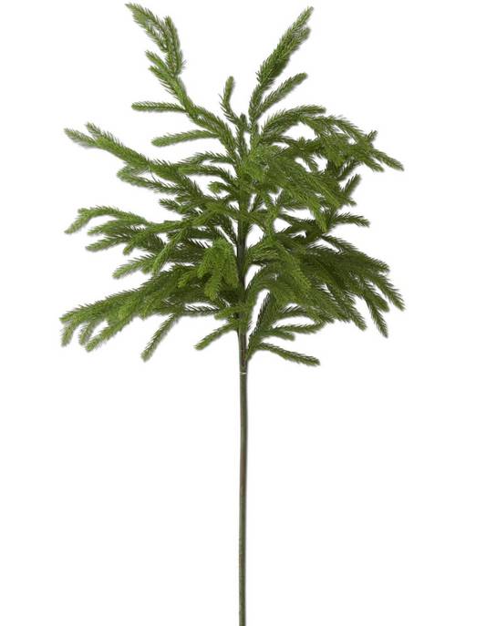 32" Real Touch Norfolk Pine Stem