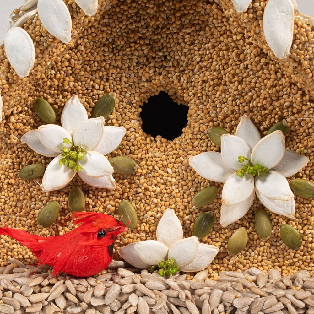 Mr Bird - Poinsettia House