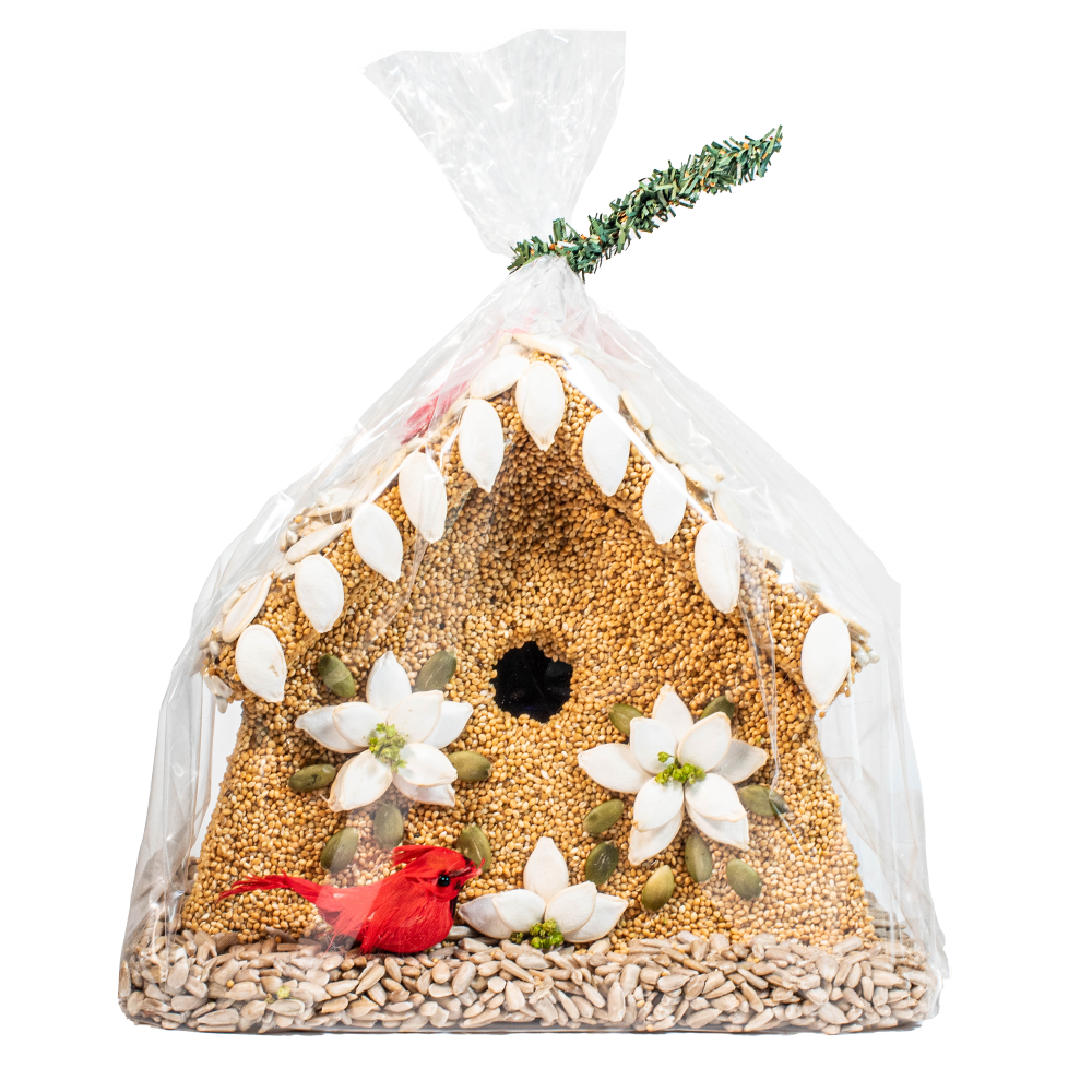 Mr Bird - Poinsettia House