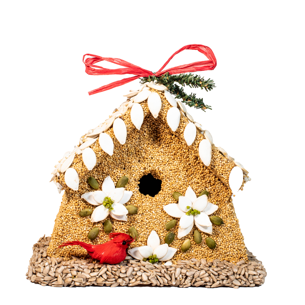 Mr Bird - Poinsettia House