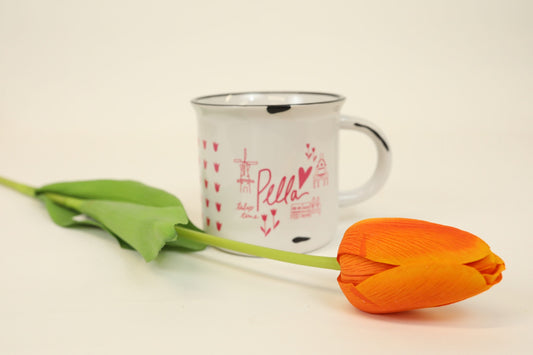 Single Stem Tulip - Orange