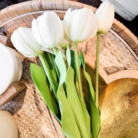 Single Stem Tulip - White
