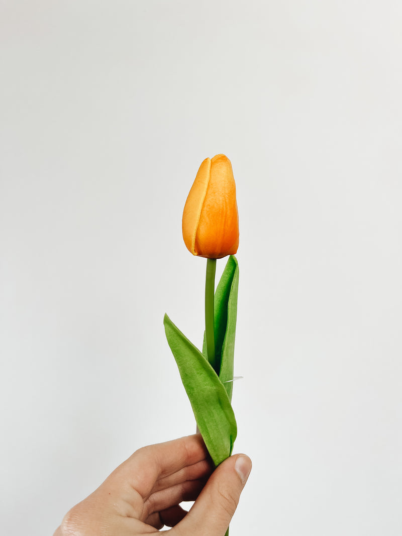 Mini Single Stem Tulip - Orange