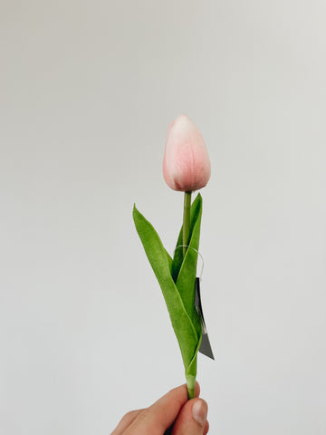 Mini Single Stem Tulip - Red