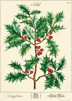 Holly poster